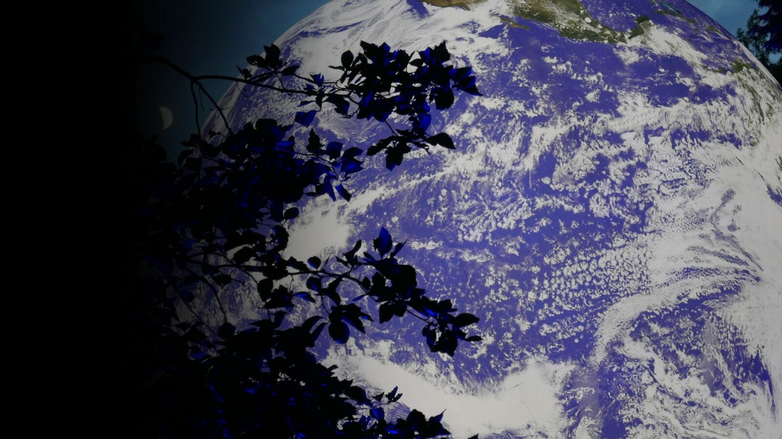 Events - Winter Earth Globe, Earth against trees